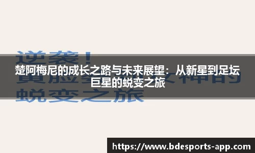 半岛电竞平台
